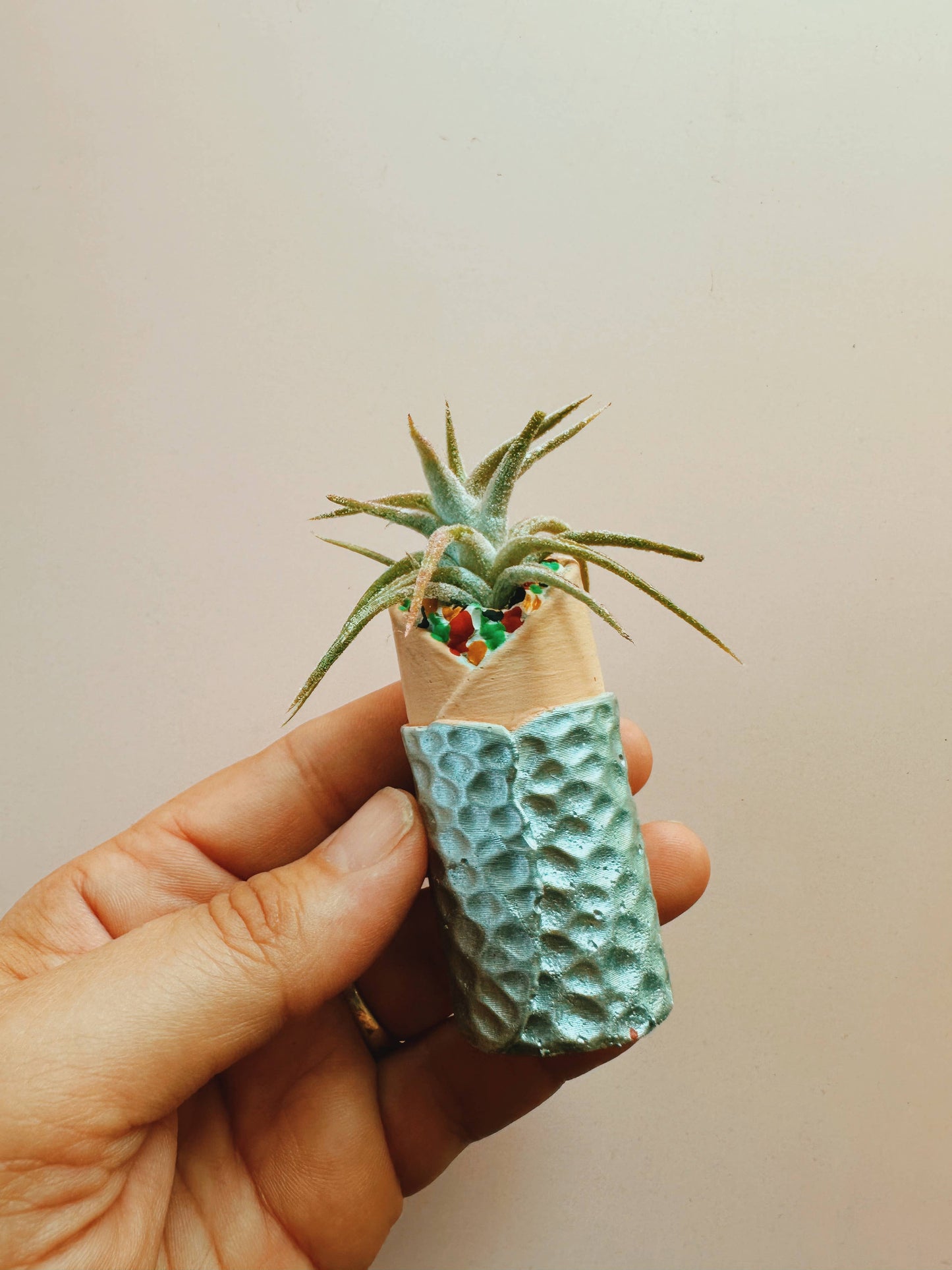 Burrito Mini Plant Pot with Plant