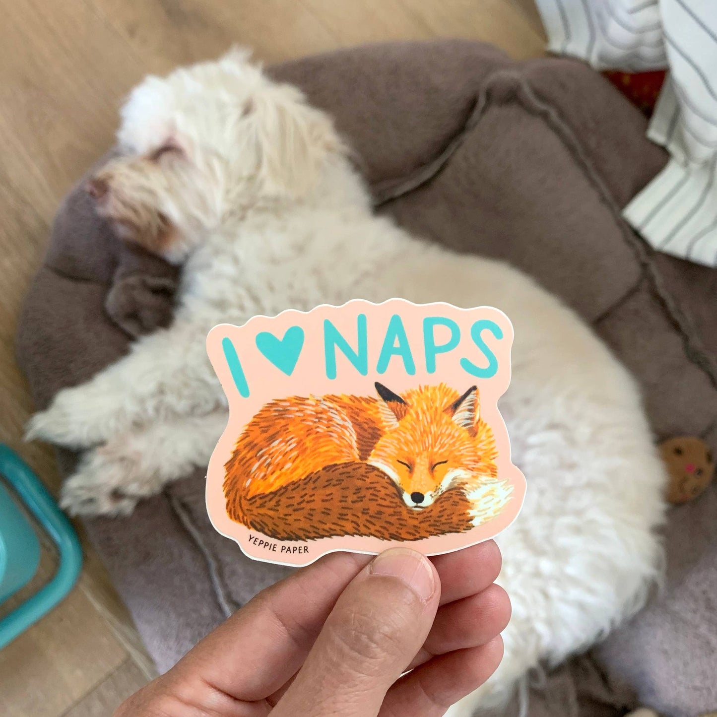 Napping Fox Sticker