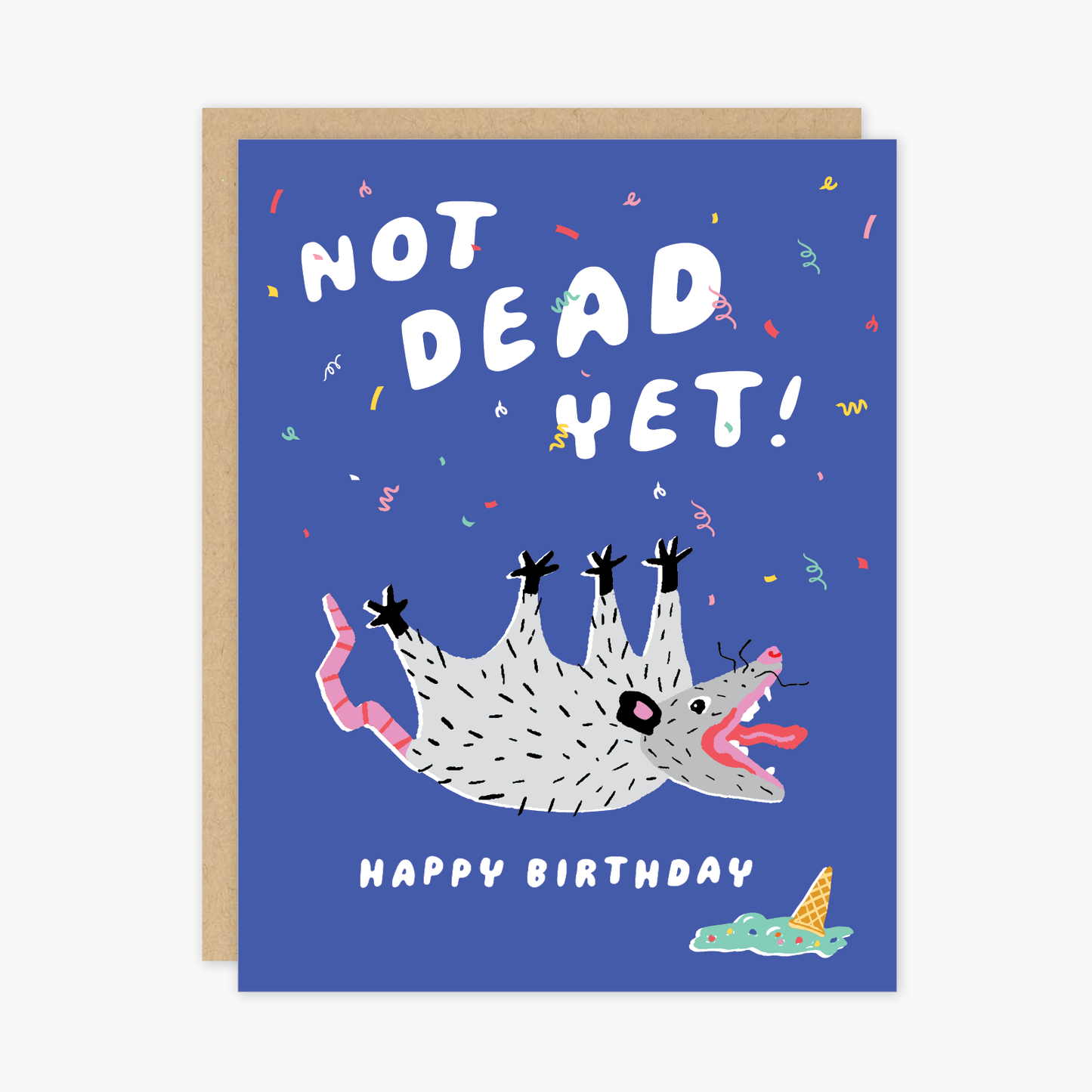 Possum Birthday Card