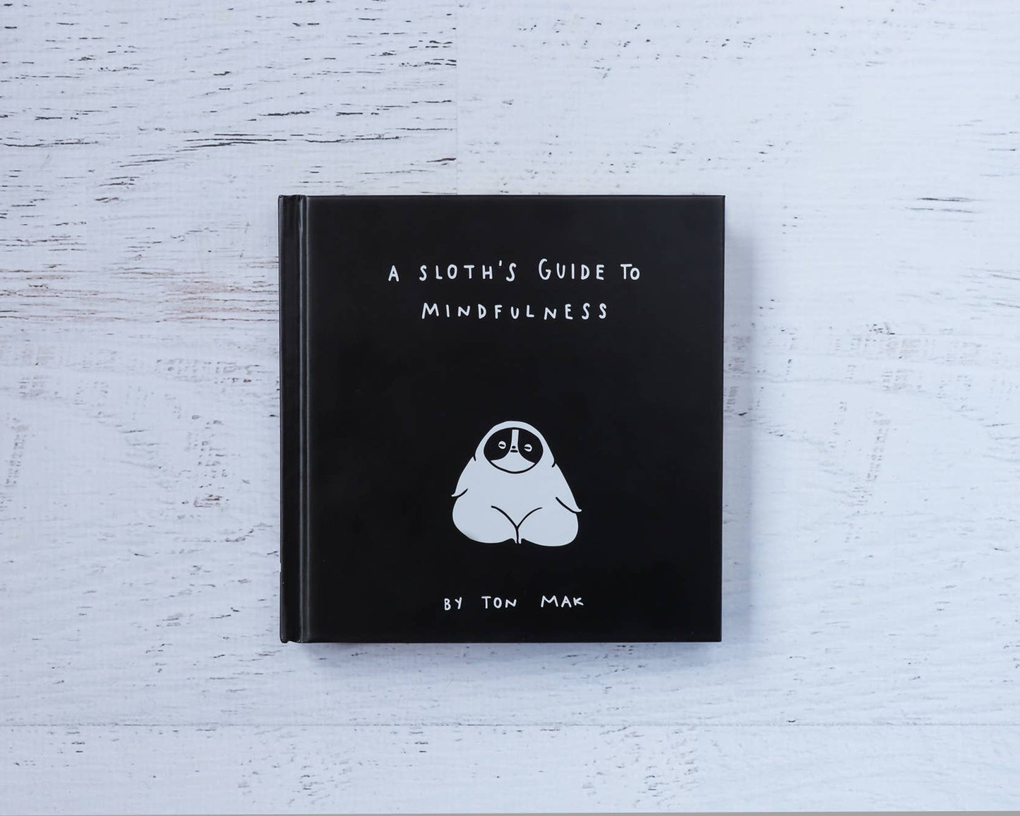 A Sloth's Guide to Mindfulness