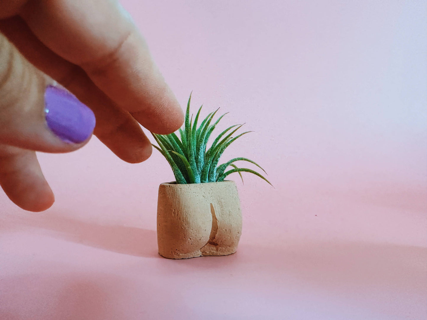 In the Nude Mini Planter with Air Plant