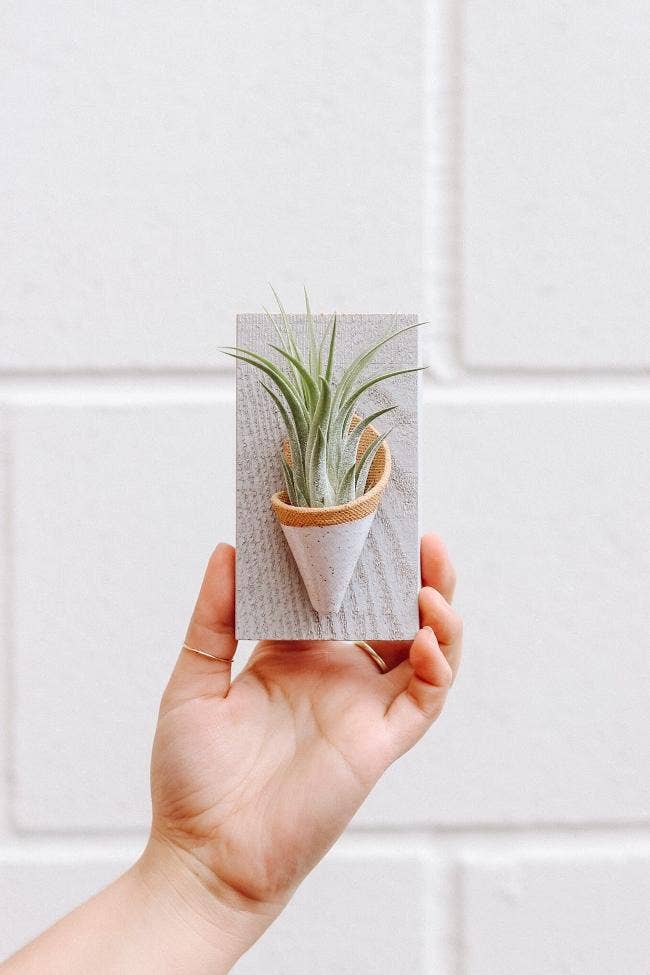 Tiny Ceramic Wall Planter | Speckled White