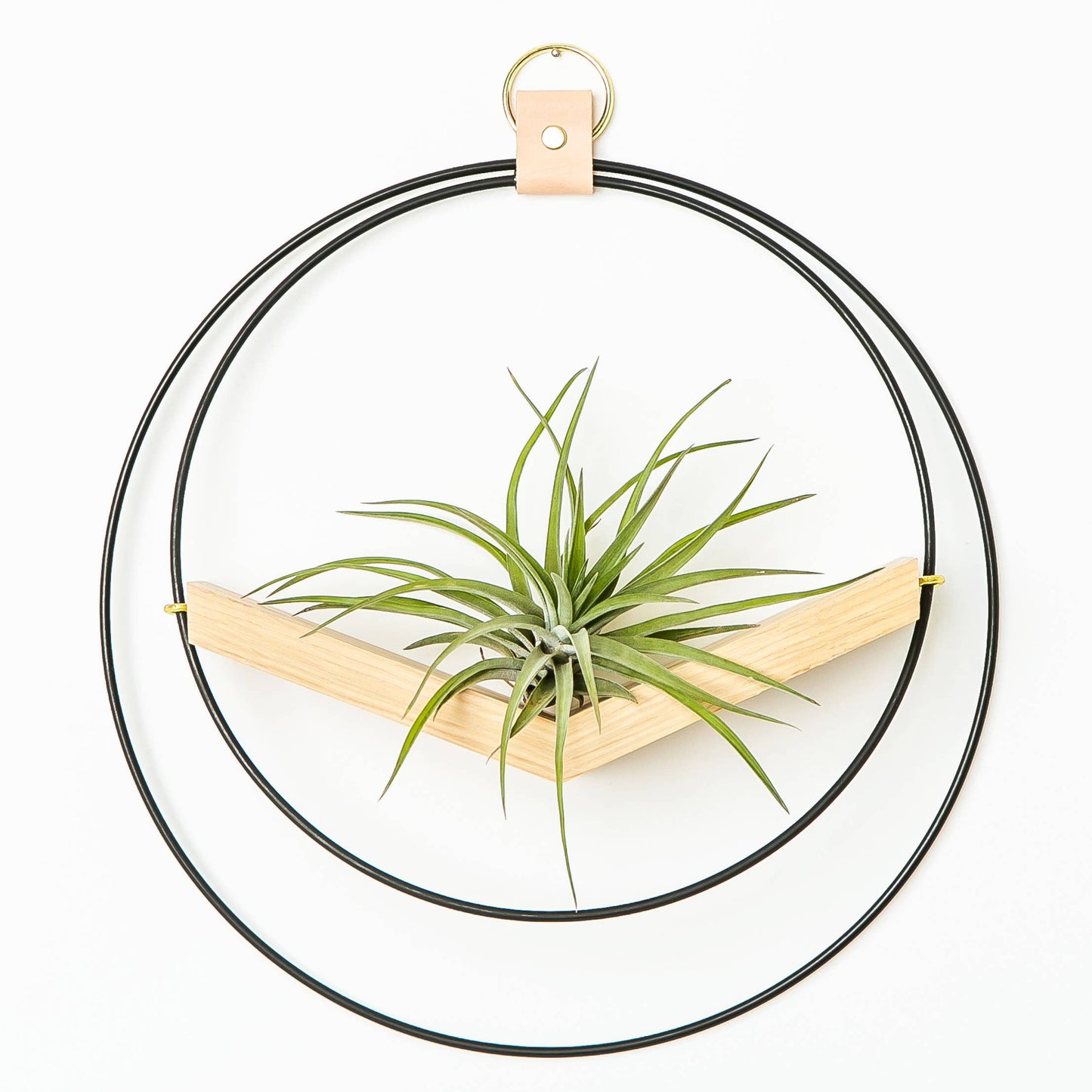 Small Black Mixed Metal V-Hanger Air Plant Holder