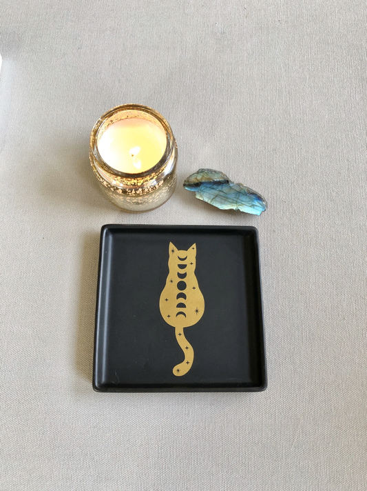 Cosmic Cat Square Catchall Dish: Black