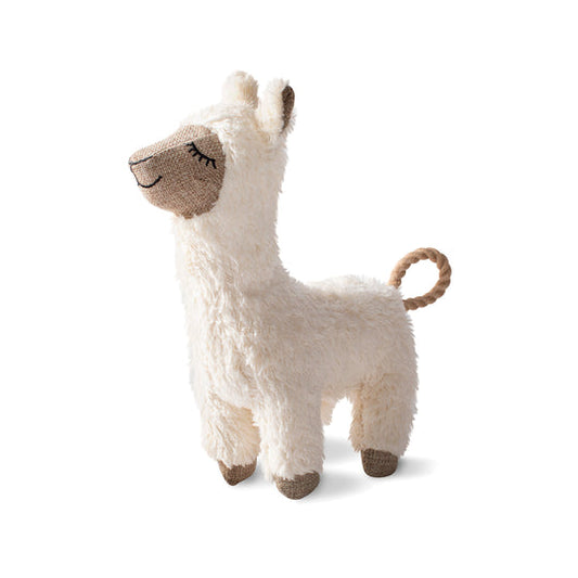 Fleeced To Meet You Dog Toy