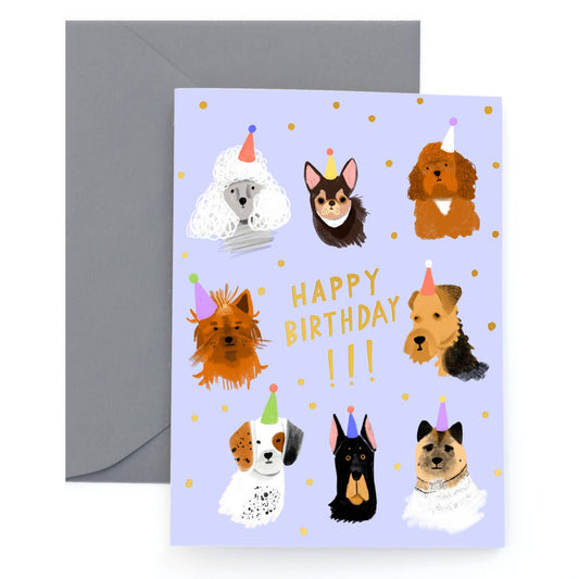 Canine Crew
