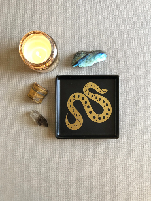 Cosmic Snake Square Catchall Dish: Black