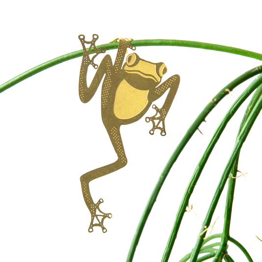 Plant Animal | Tree Frog